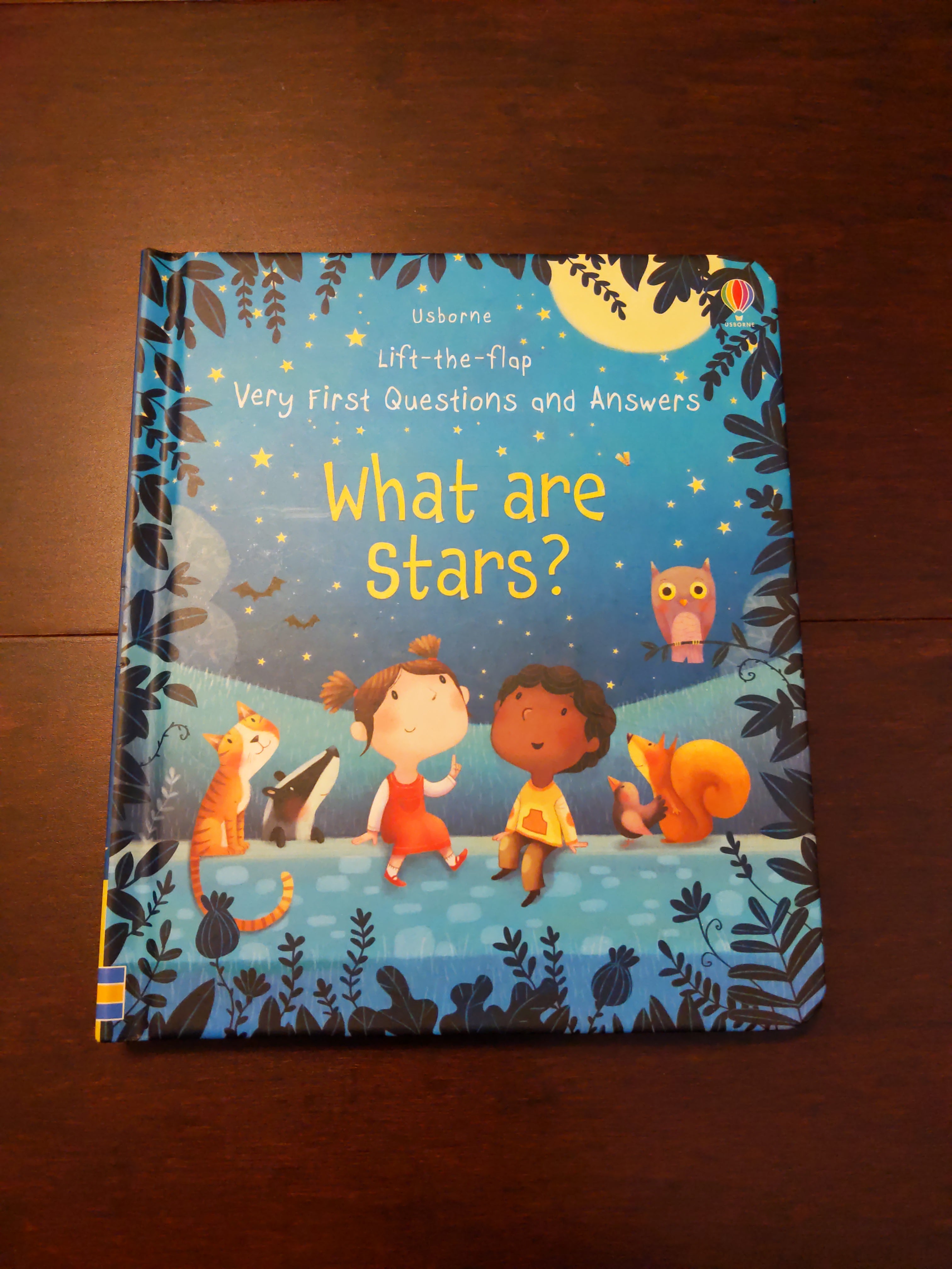 Lift-The-Flap Very First Questions and Answers What Are Stars