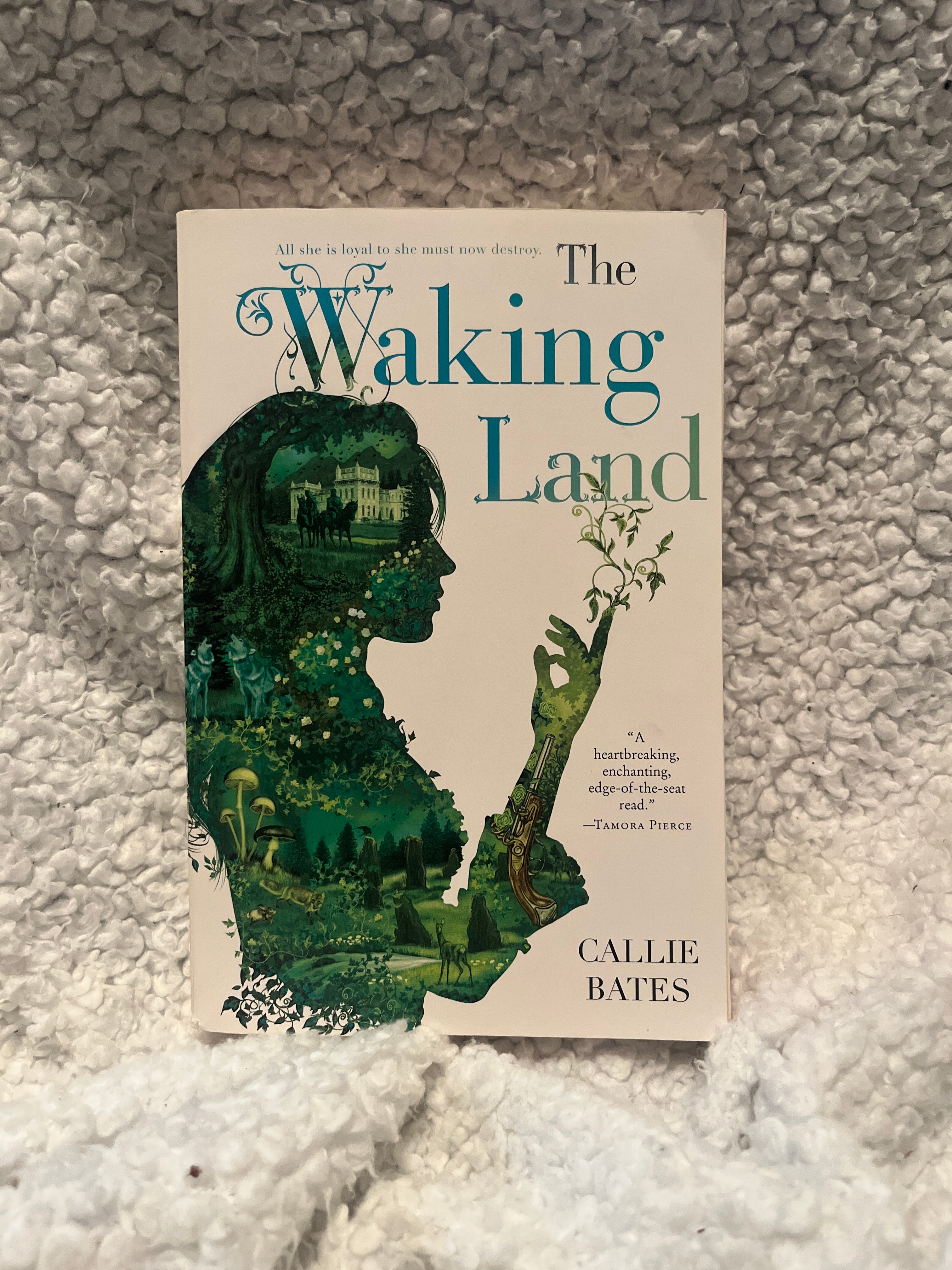 The Waking Land