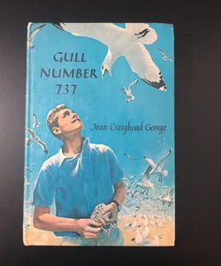 Gull Number 737 