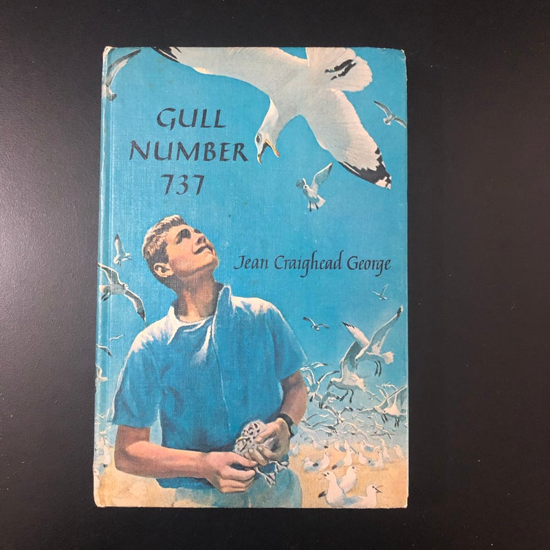 Gull Number 737 