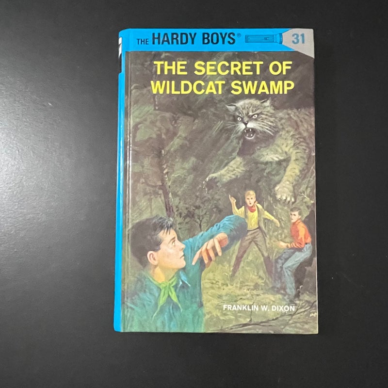 Hardy Boys: The Secret of Wildcat Swamp 