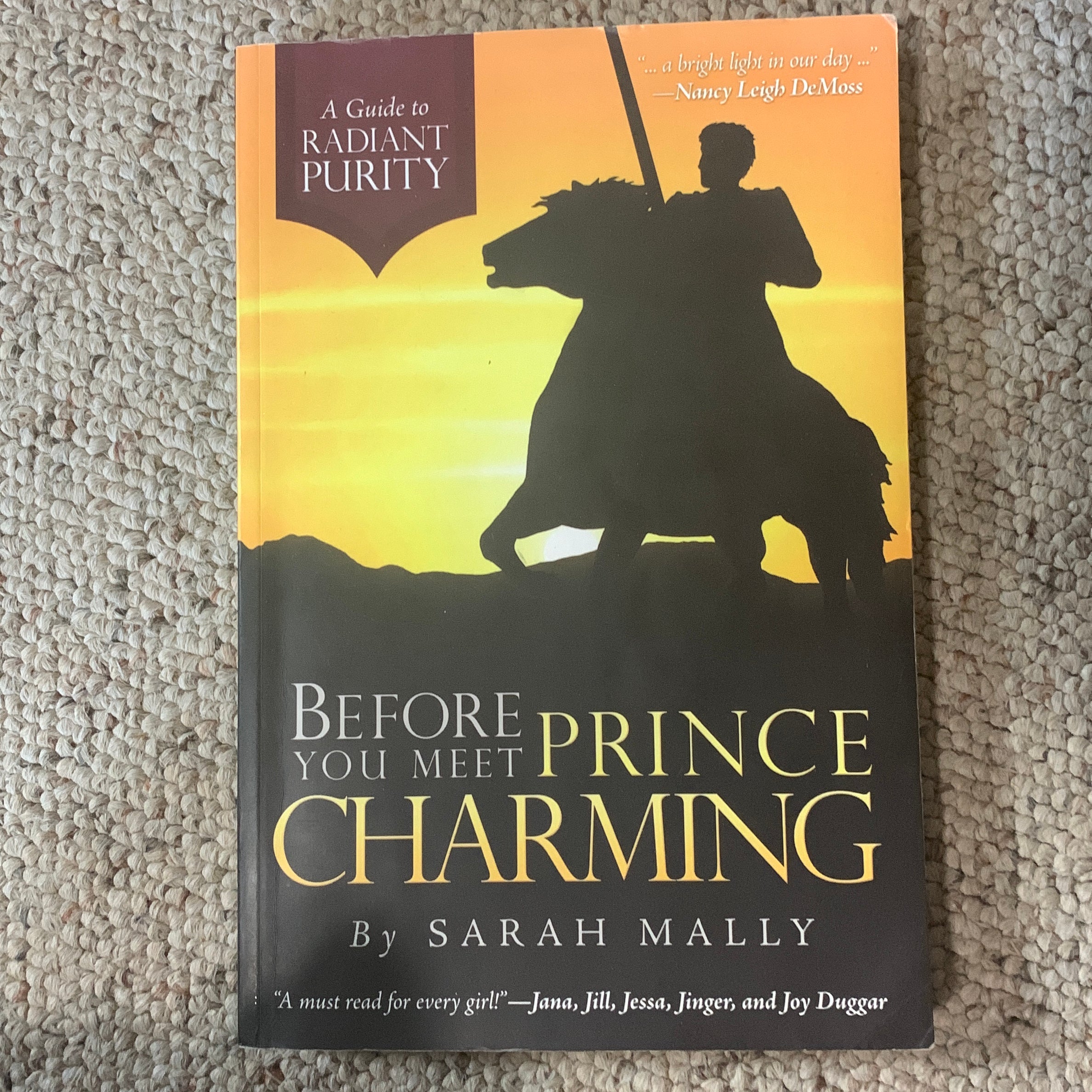 Before You Meet Prince Charming