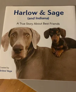 Harlow and Sage (and Indiana)