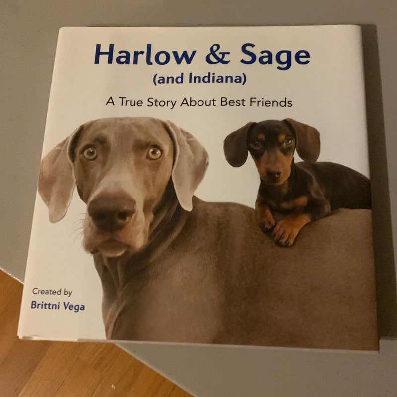 Harlow and Sage (and Indiana)