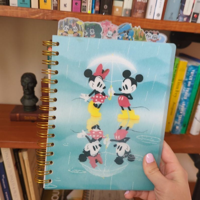 Mickey and Minnie Seasons Journal