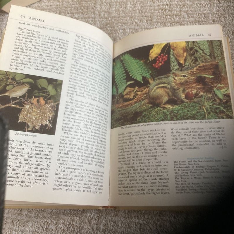 Audubon Nature Encyclopedia 