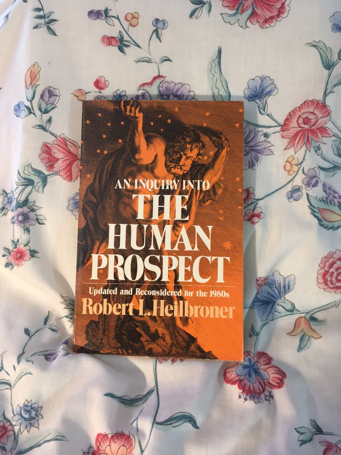 An Inquiry into the Human Prospect