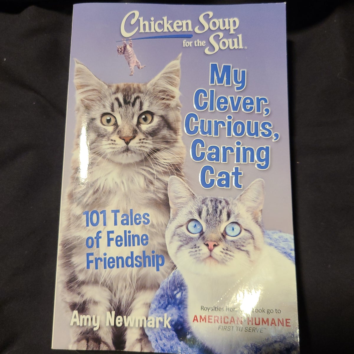 Chicken soup for outlet the cat lovers soul