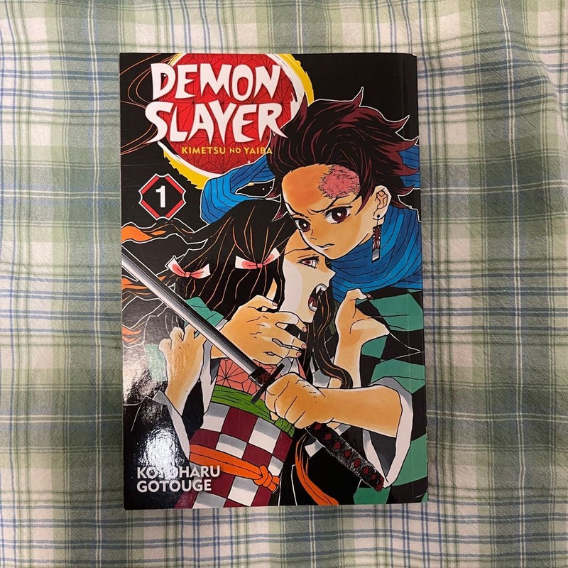 Demon Slayer: Kimetsu No Yaiba, Vol. 1