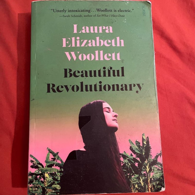 Beautiful Revolutionary