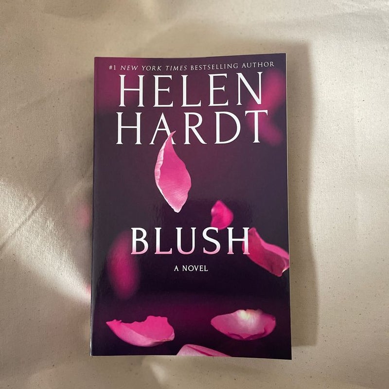 Blush-brand new romance novel never used 