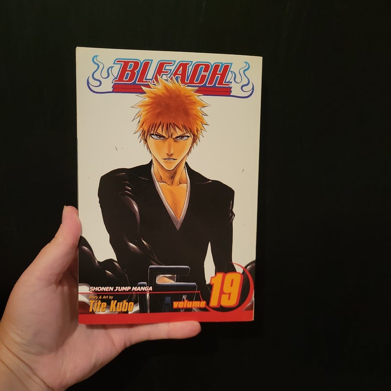 Bleach, Vol. 19