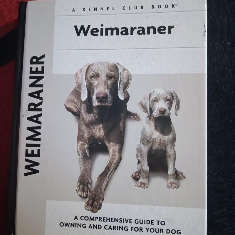 Weimaraner