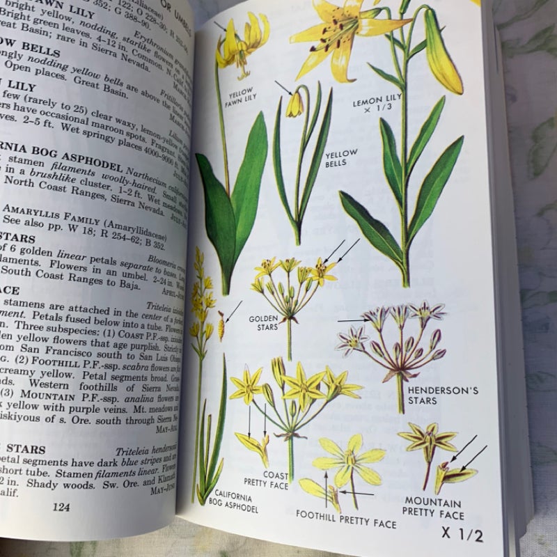 A Field Guide to Pacific States Wildflowers