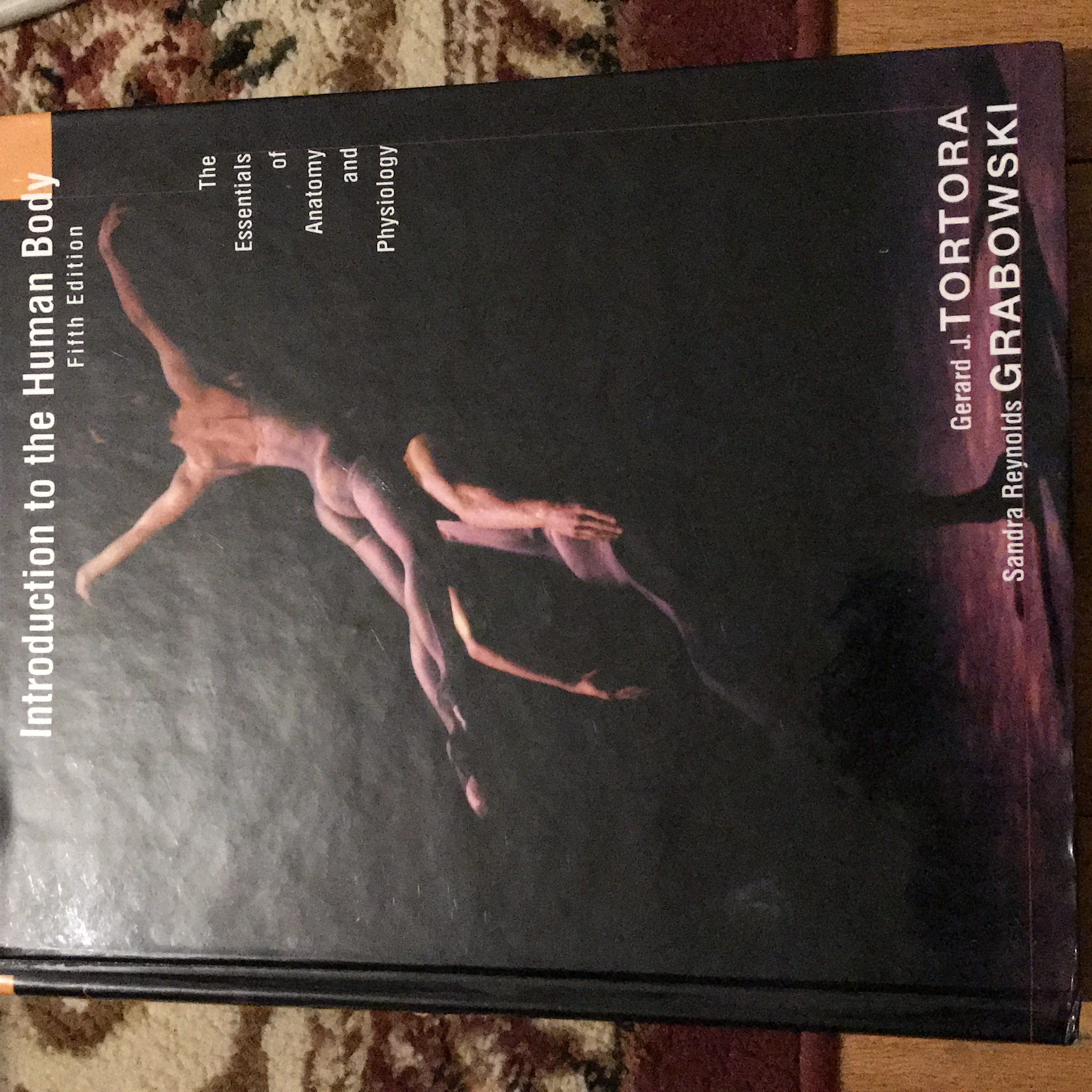 Introduction to the Human Body