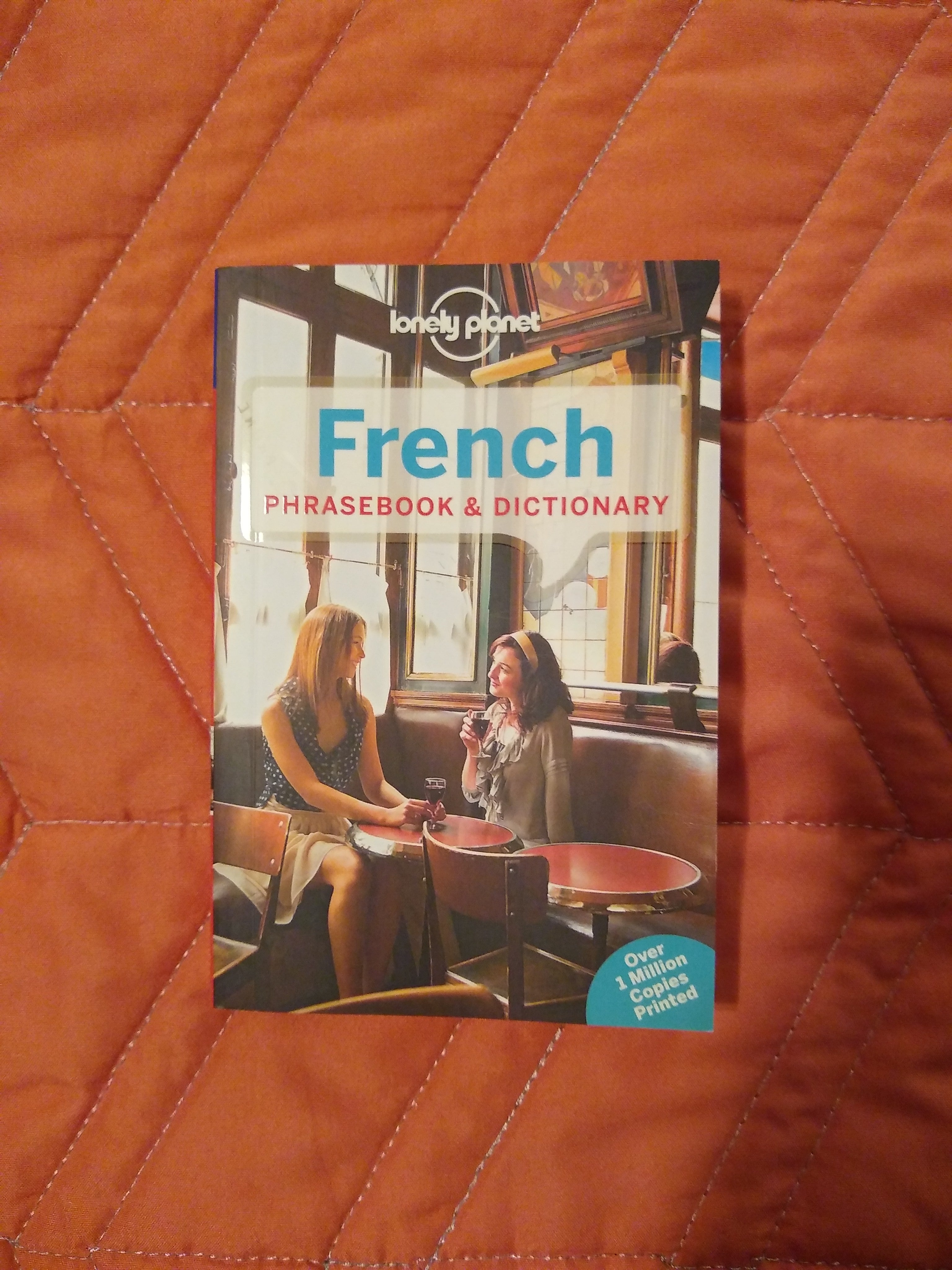 French Phrasebook and Dictionary 6