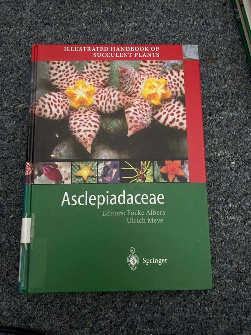 Asclepiadaceae