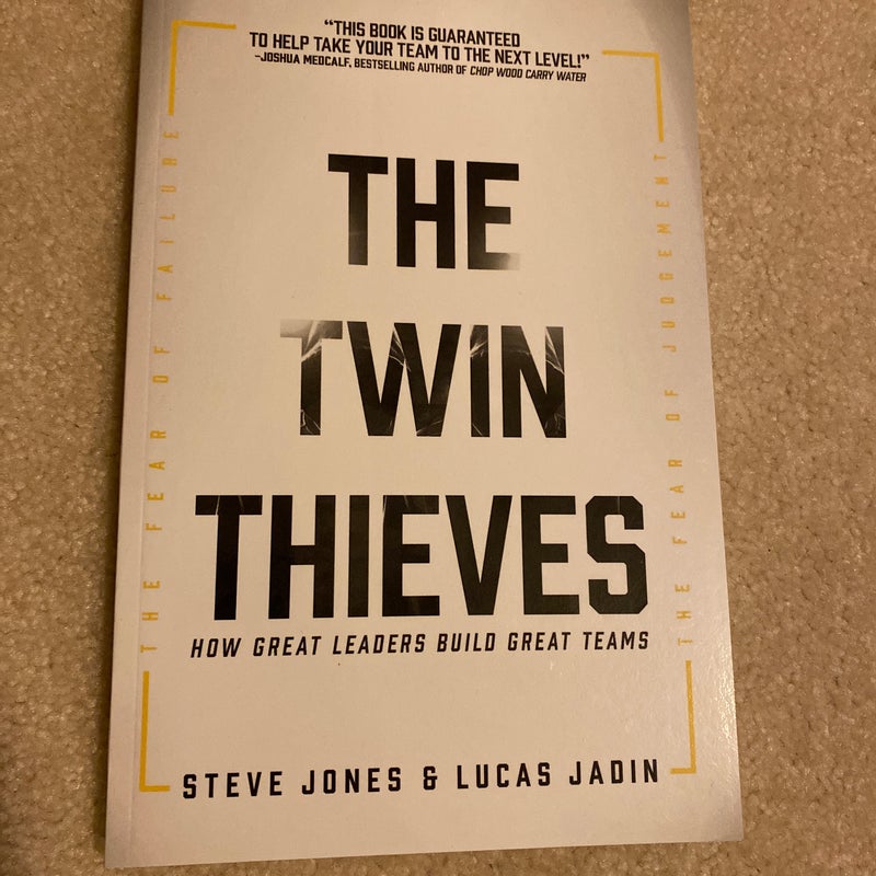 The Twin Thieves