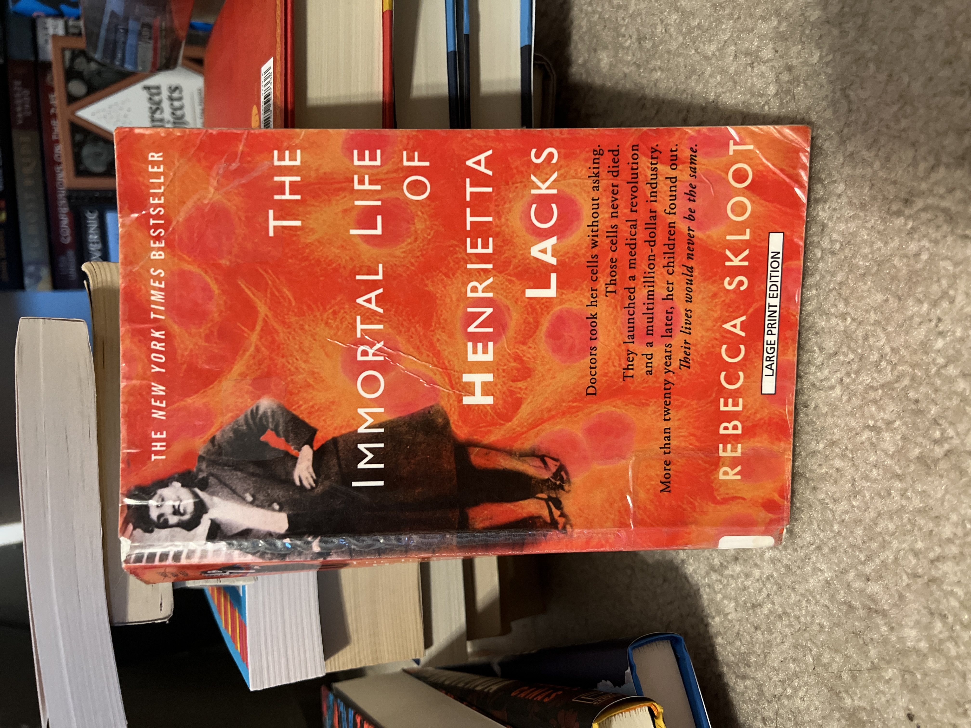 9781594134326 book cover