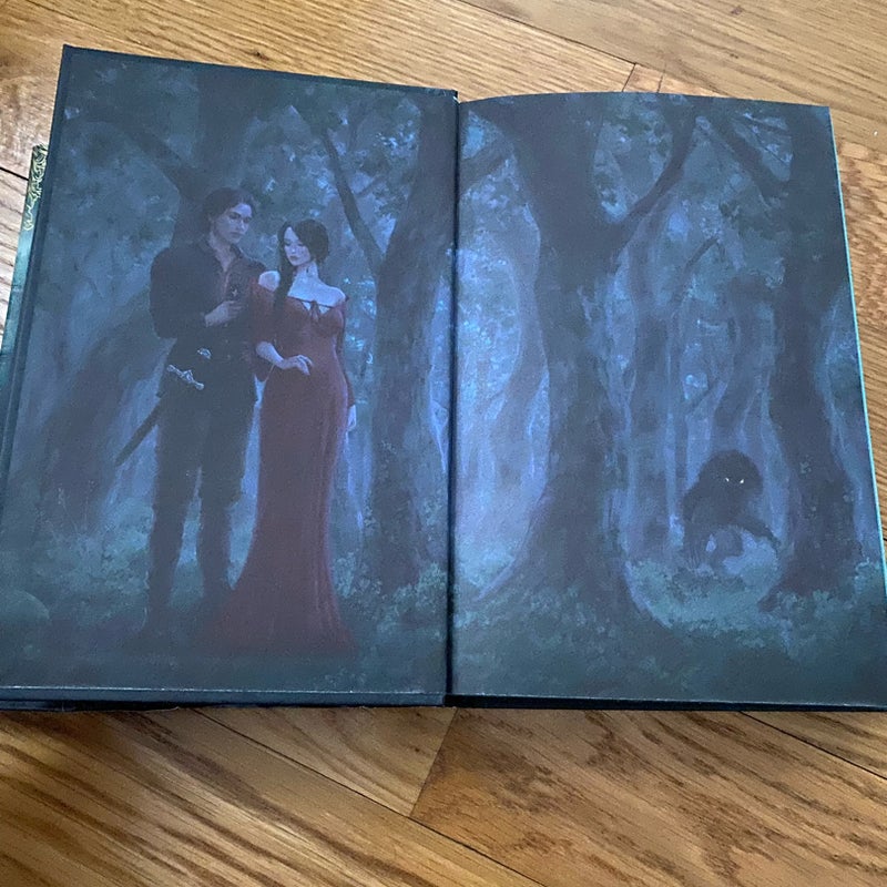One Dark Window FairyLoot Edition by Rachel Gillig, Hardcover Pangobooks