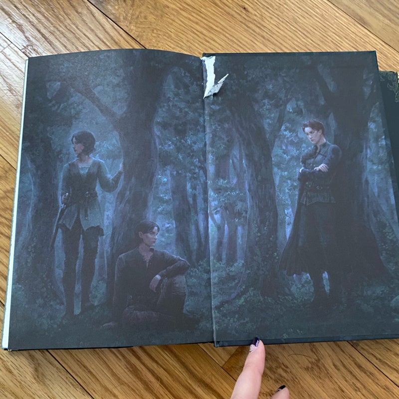 One Dark Window FairyLoot Edition by Rachel Gillig, Hardcover