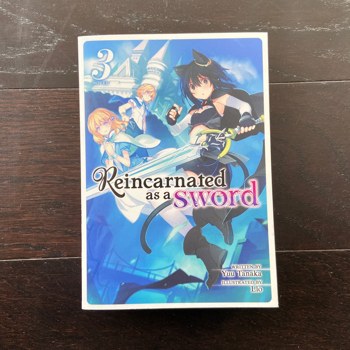 Reincarnated As a Sword (Light Novel) Vol. 3 by Yuu Tanaka