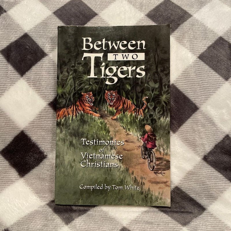 Between Two Tigers