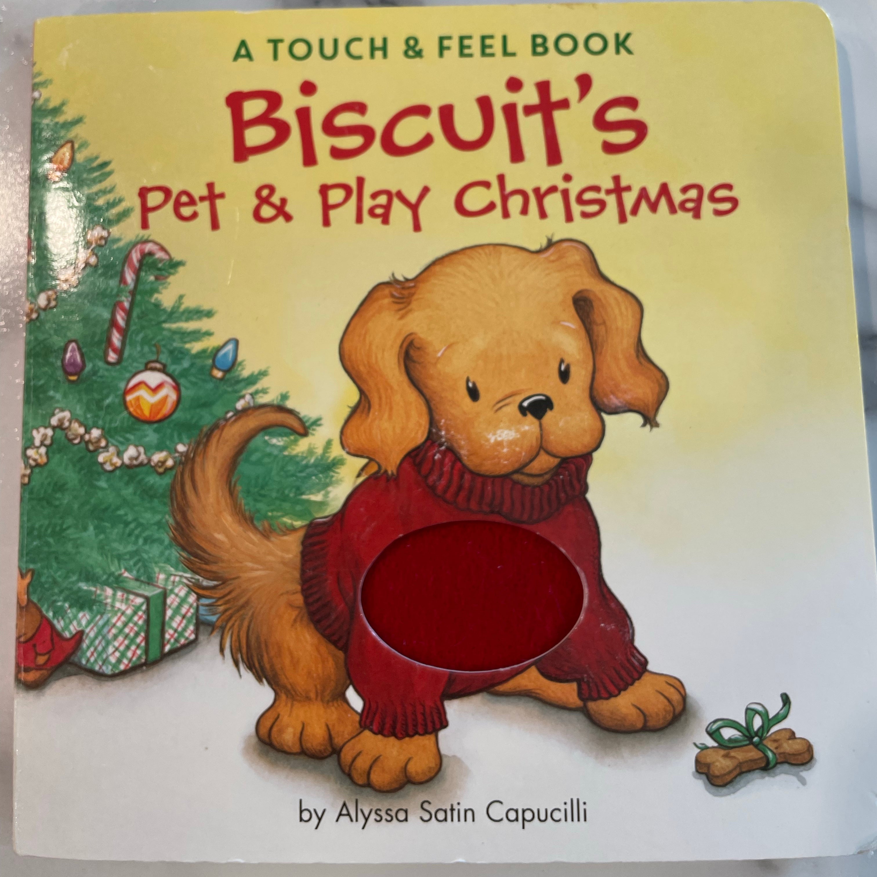 Biscuit's Pet and Play Christmas