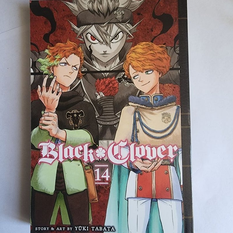 Black Clover, Vol. 14