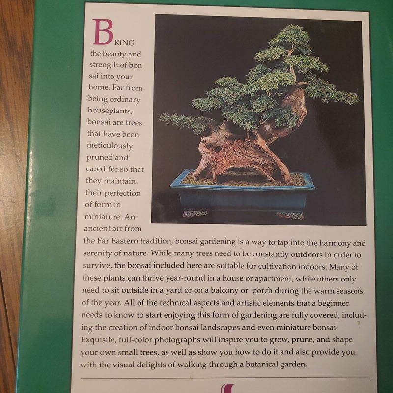 Bonsai in Your Home