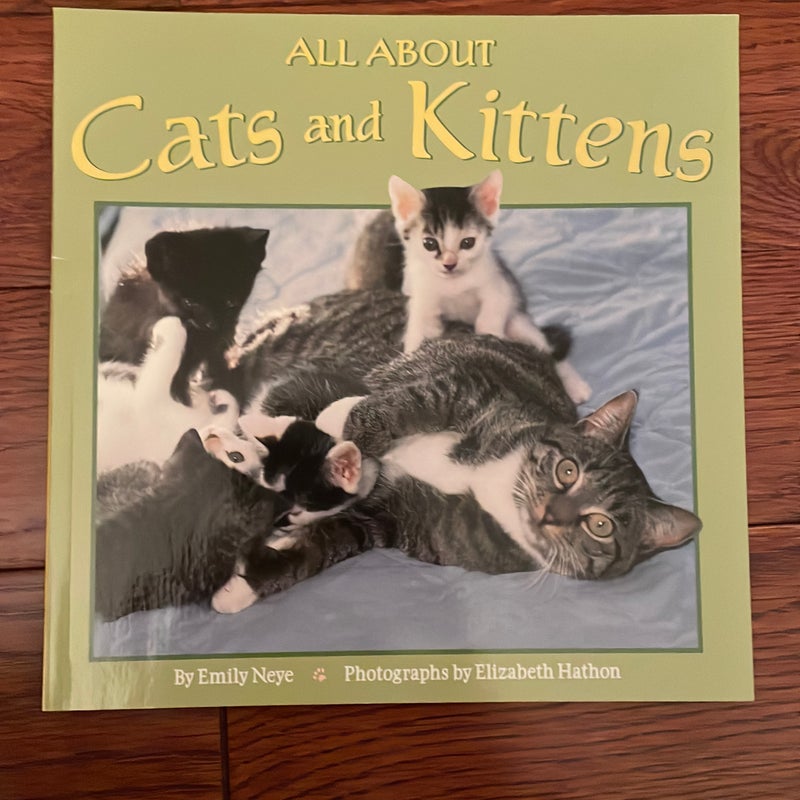 All about Cats and Kittens