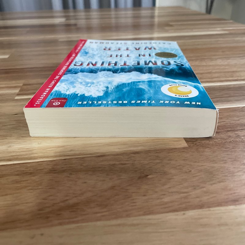 Something in the Water - Target April Book Club