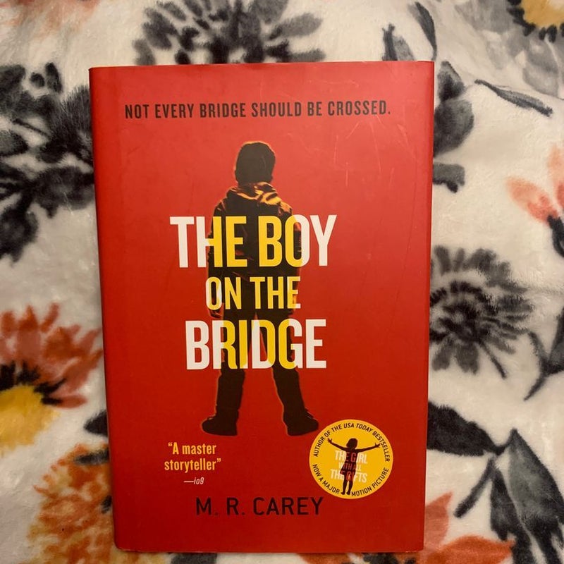 The Boy on the Bridge