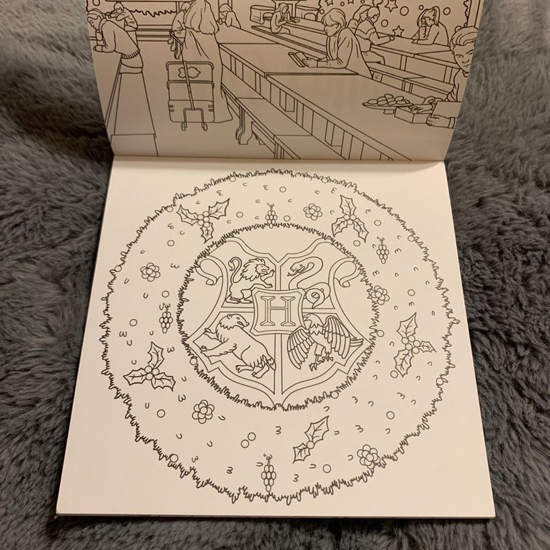 Harry Potter: Winter at Hogwarts: a Magical Coloring Set