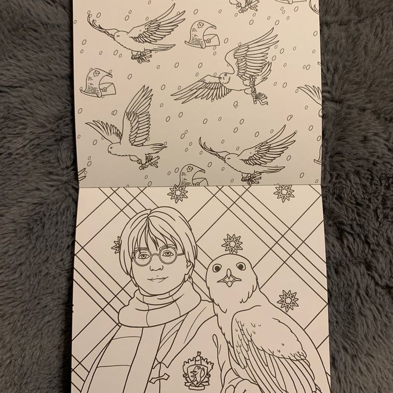 Harry Potter: Winter at Hogwarts: a Magical Coloring Set