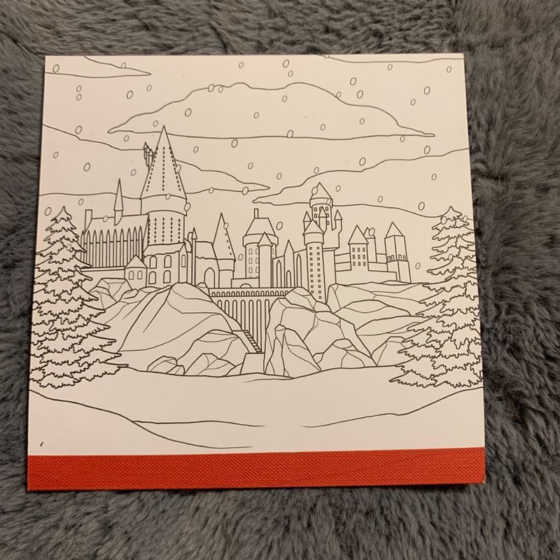 Harry Potter: Winter at Hogwarts: a Magical Coloring Set