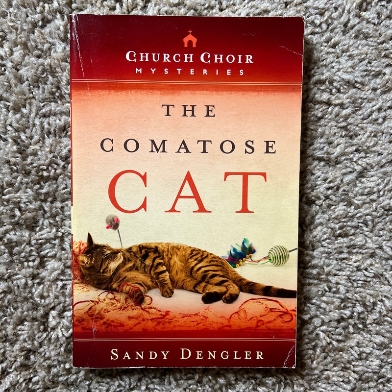 The Comatose Cat