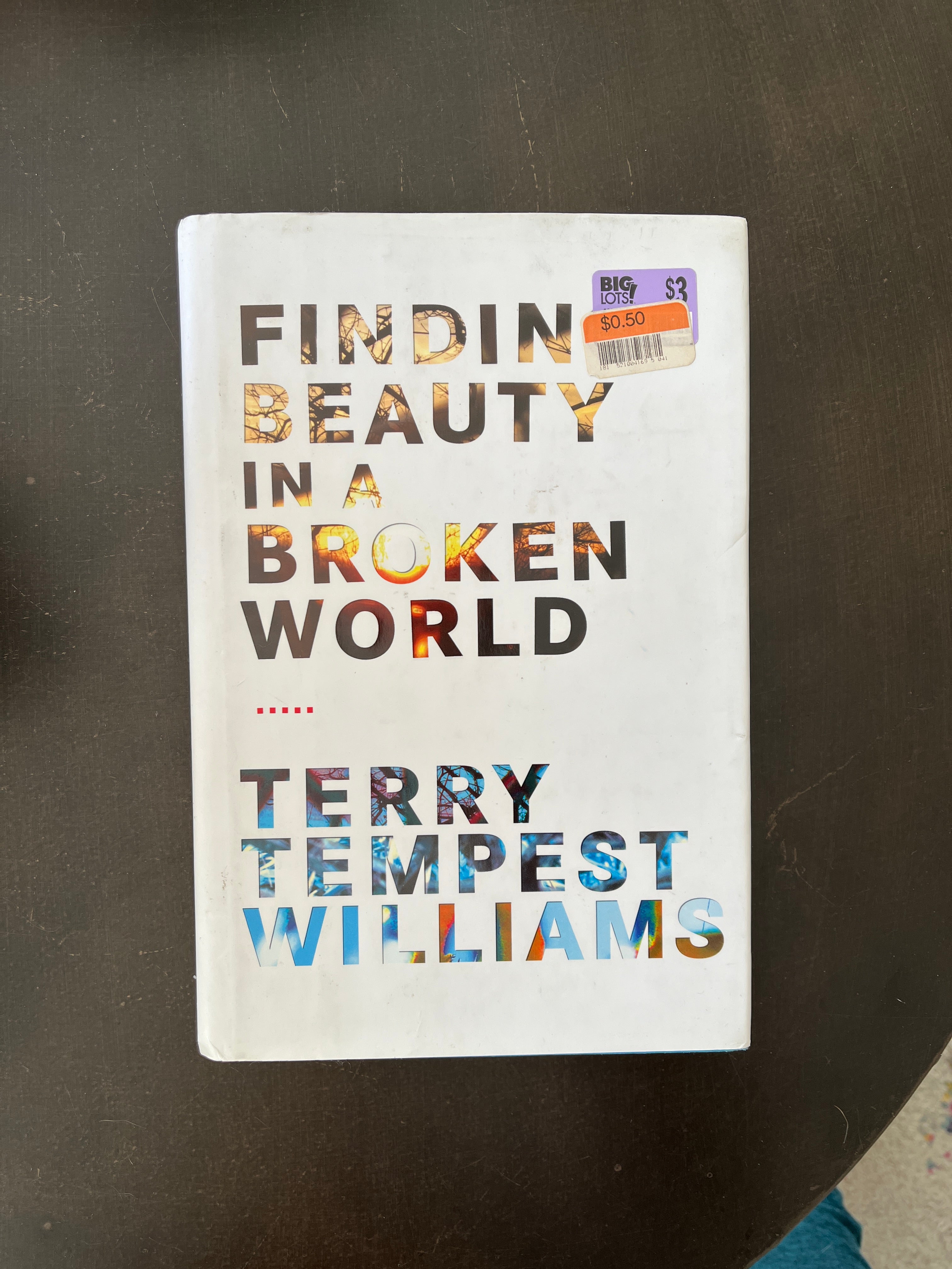 Finding Beauty in a Broken World
