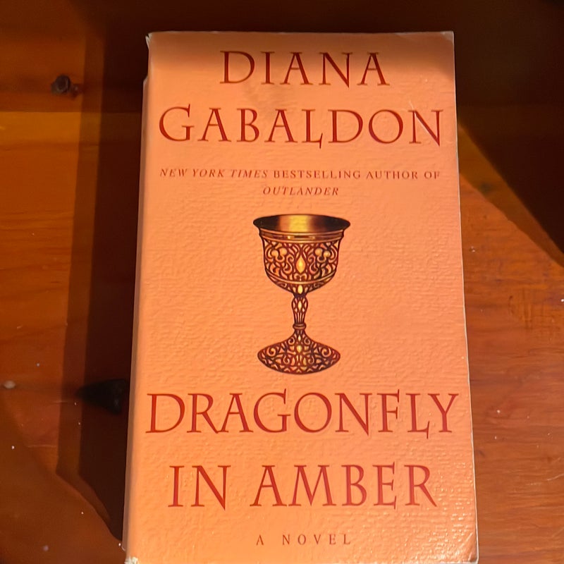 Dragonfly in Amber