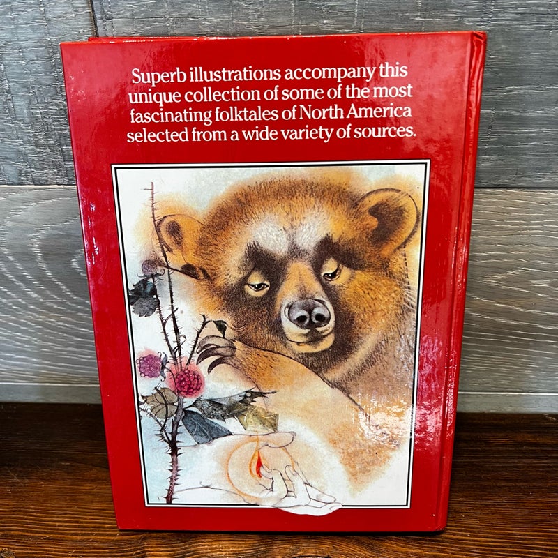 American Fairy Tales 1979 By Vladimir Stuchl Native American Indian Tales HB
