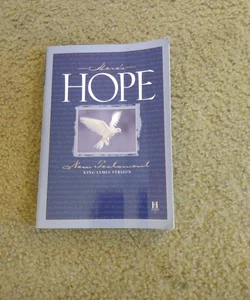 KJV Here's Hope New Testament, Trade Paper