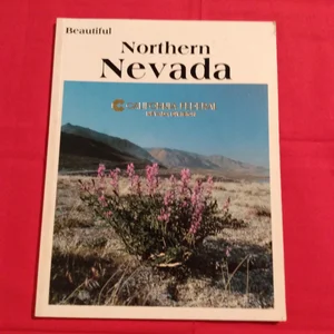 Beautiful Northern Nevada