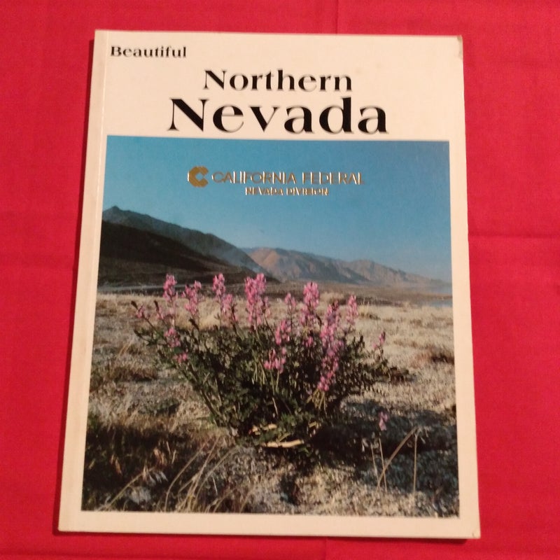 Beautiful Northern Nevada