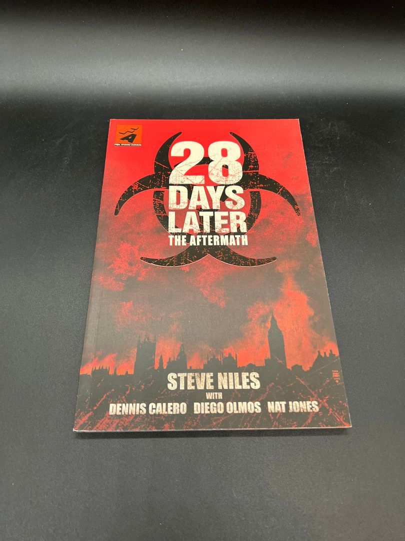 28 Days Later: the Aftermath