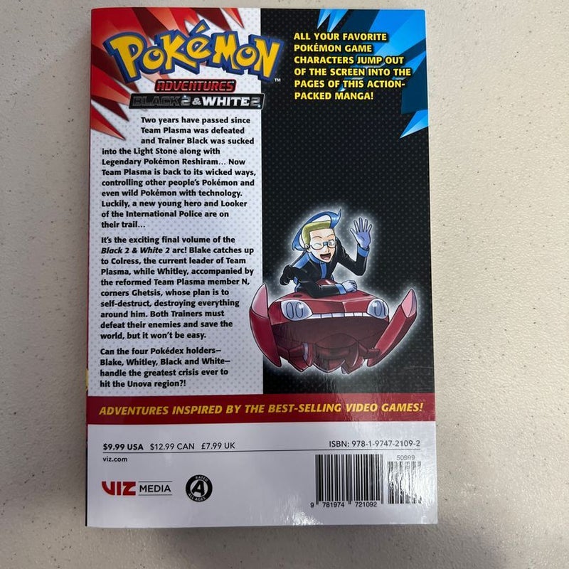 Pokémon Adventures: Black 2 and White 2, Vol. 4