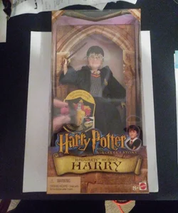 Hogwarts Heroes Harry 