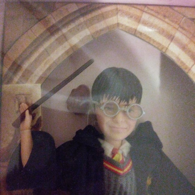 Hogwarts Heroes Harry 