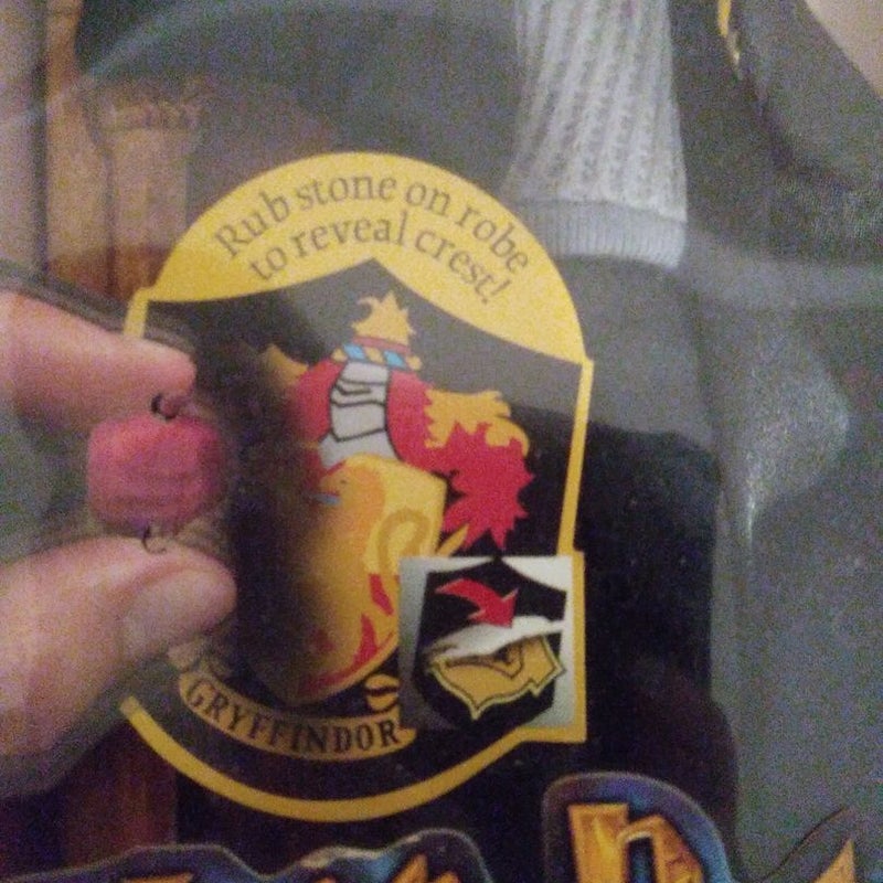 Hogwarts Heroes Harry 