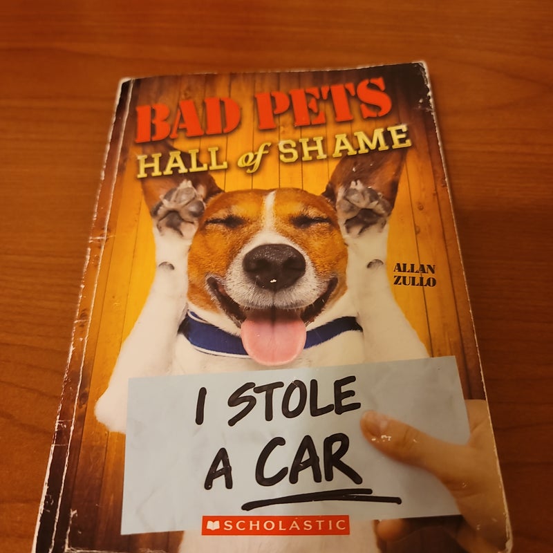 Bad Pets