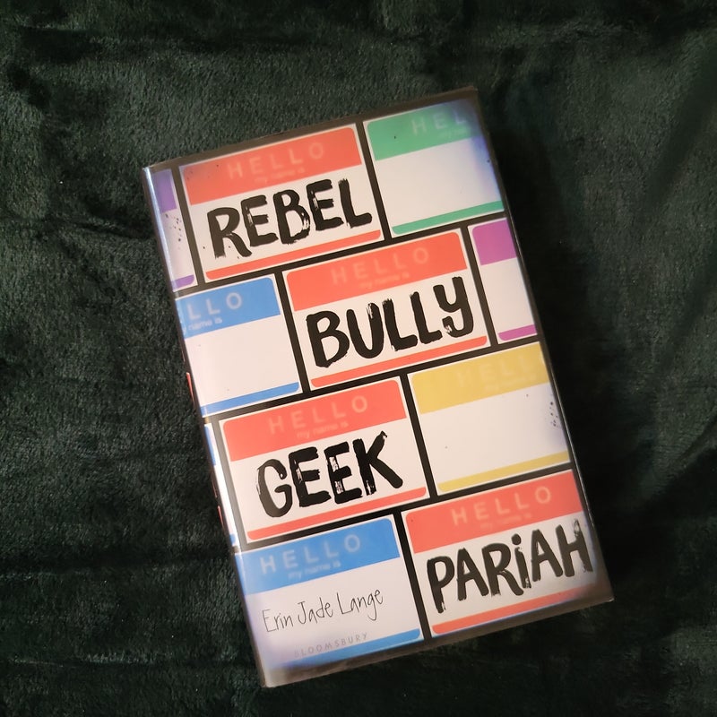 Rebel, Bully, Geek, Pariah